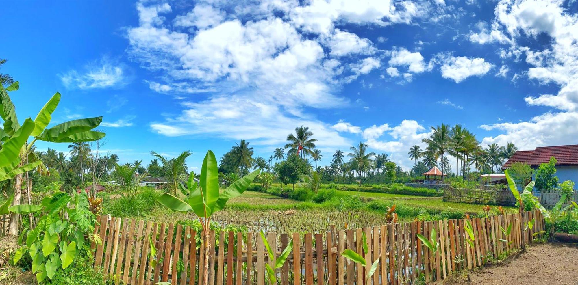 Alfarizi Homestay เตเตบาตู ภายนอก รูปภาพ