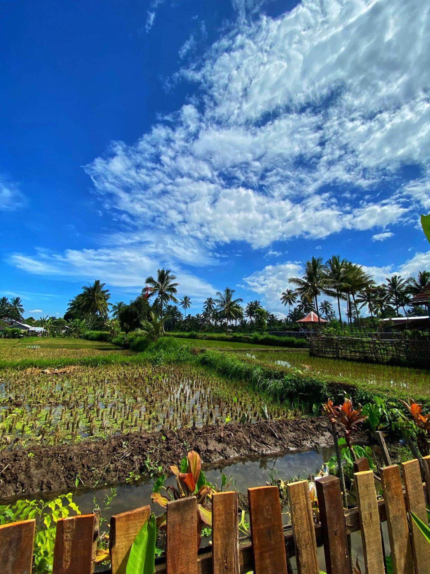 Alfarizi Homestay เตเตบาตู ห้อง รูปภาพ