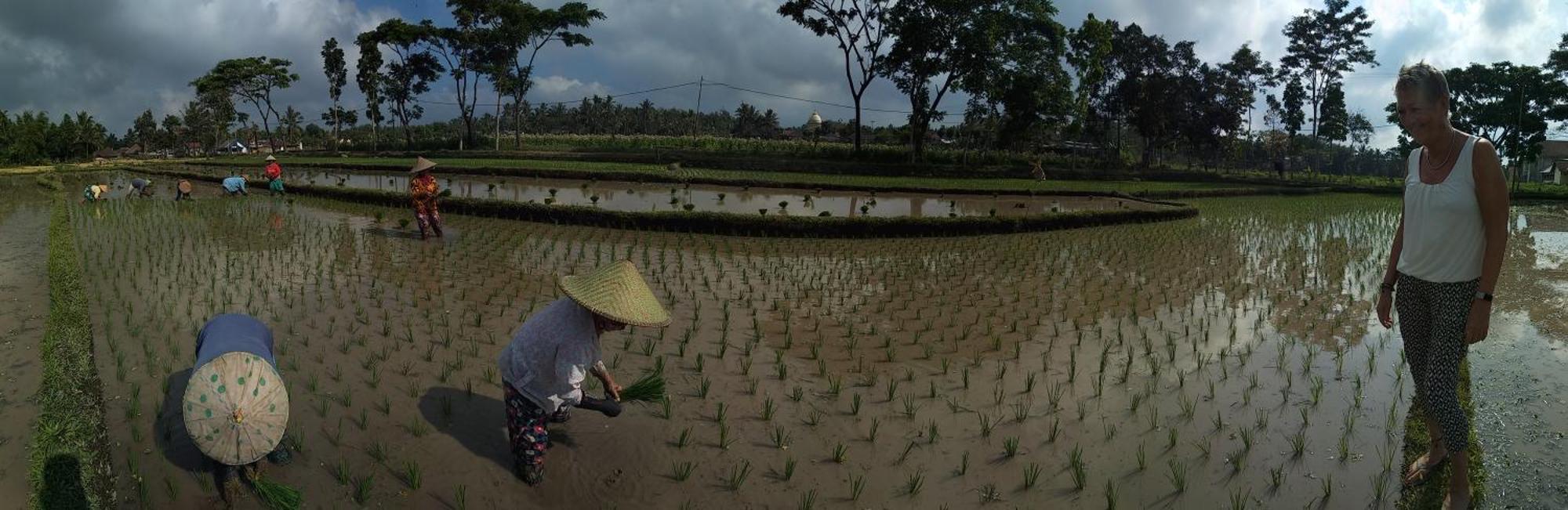 Alfarizi Homestay เตเตบาตู ภายนอก รูปภาพ