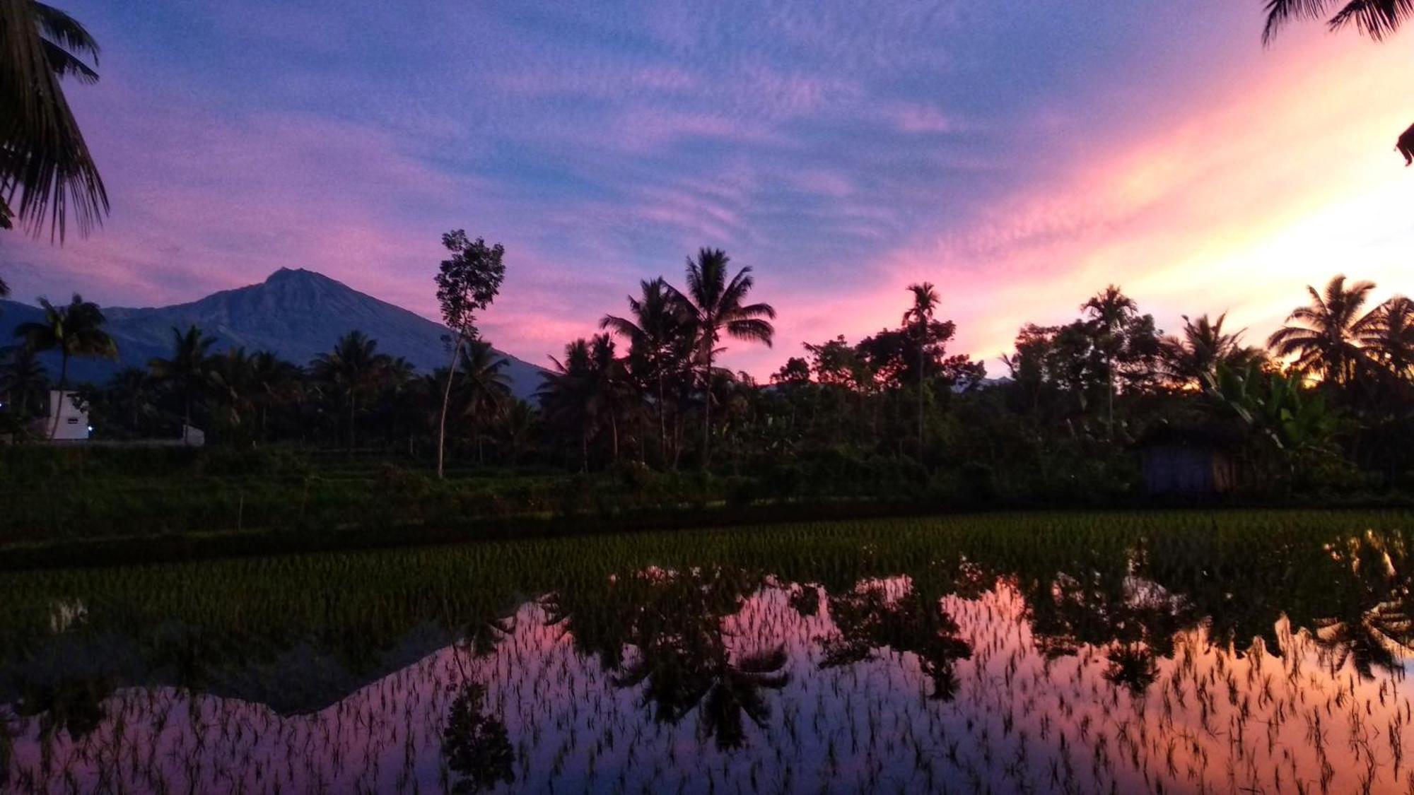 Alfarizi Homestay เตเตบาตู ภายนอก รูปภาพ