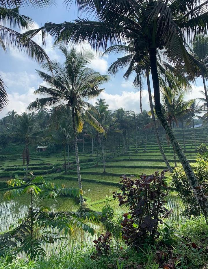 Alfarizi Homestay เตเตบาตู ภายนอก รูปภาพ