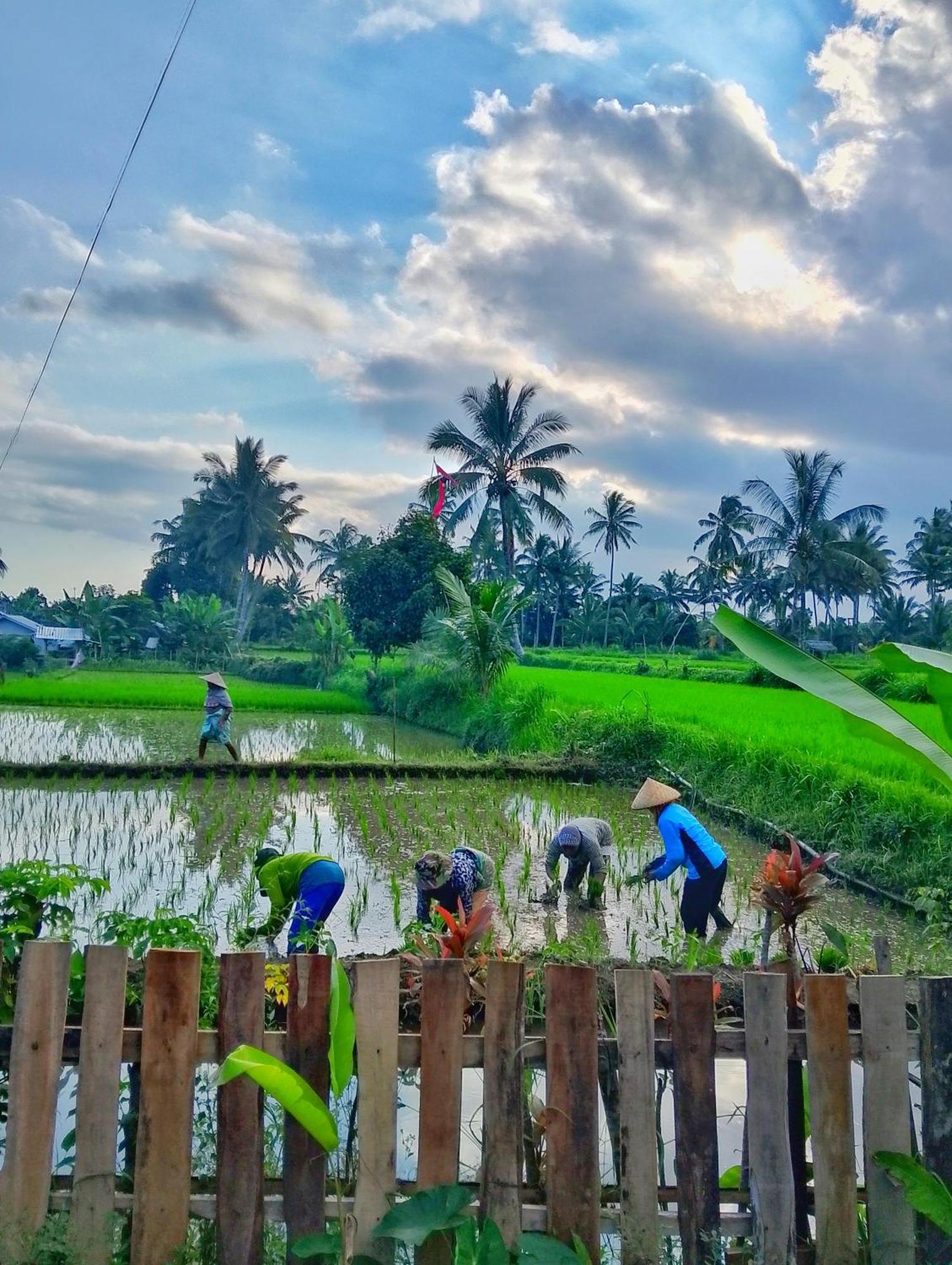 Alfarizi Homestay เตเตบาตู ภายนอก รูปภาพ