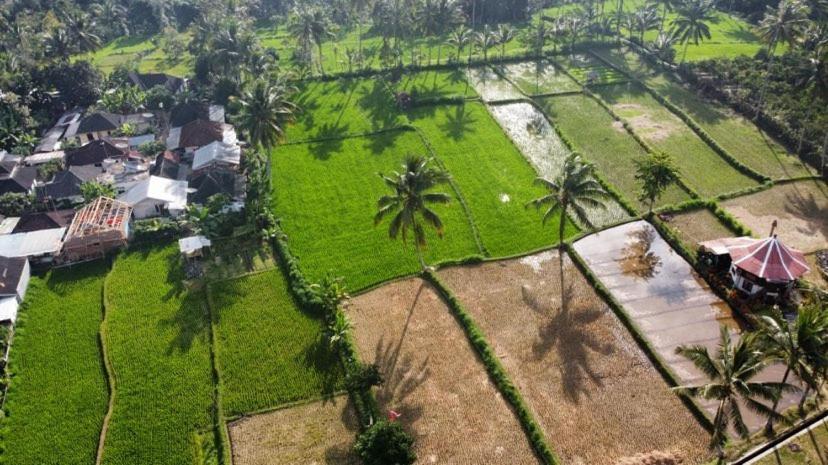 Alfarizi Homestay เตเตบาตู ภายนอก รูปภาพ